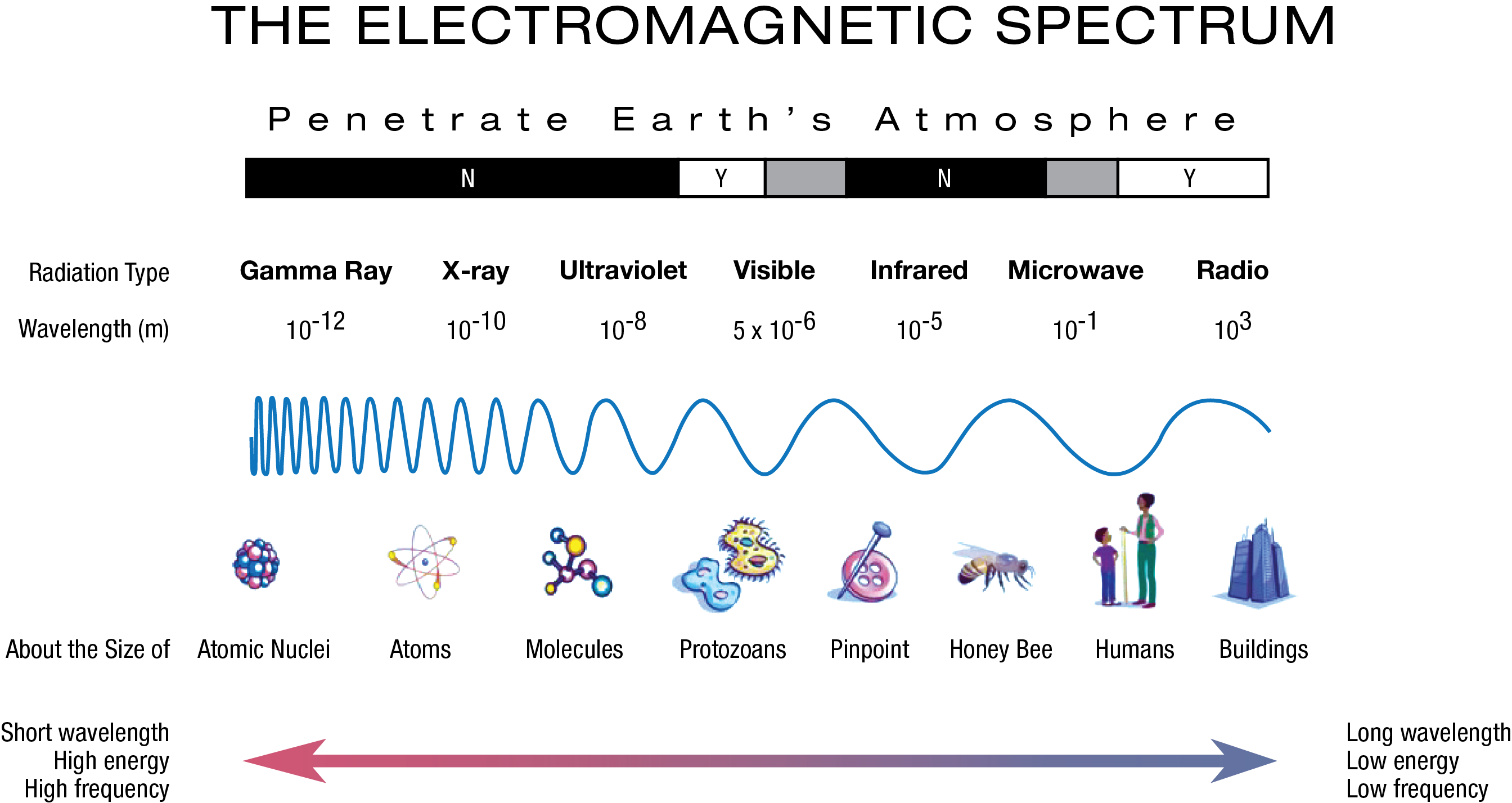 Electromagnetic Spectrum Wavelengths Chart   Electromagnetic Spectrum Diagram Flipped FINAL 